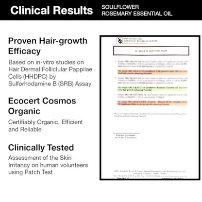 Rosemary Essential Oil for Hair Growth & Fall Control - Organic, Clinically Tested, 15ml